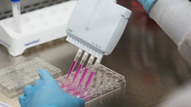 Rendre le cancer vulnérable au système immunitaire