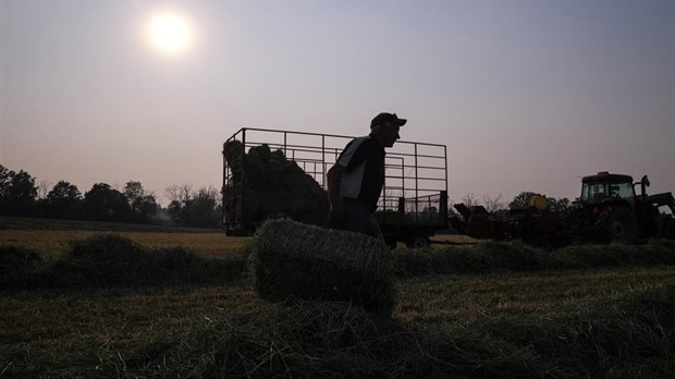 Une saison agricole difficile qui pourrait être dure sur le moral des producteurs