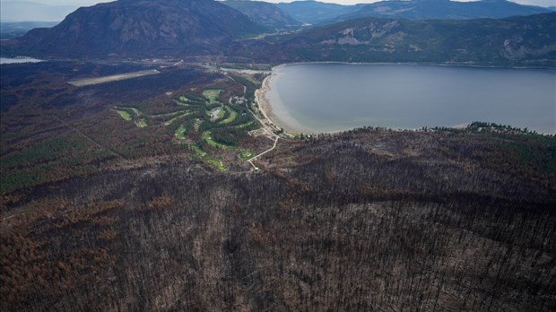 La chaleur et la sécheresse ont causé la saison des feux en 2023, selon une étude