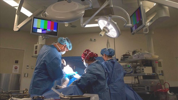 Le nombre de transplantations d'organes augmente, mais la liste d'attente stagne