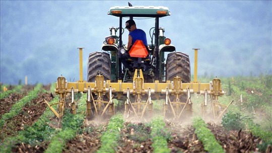 Les pesticides : prévenez les risques et cultivez votre avenir