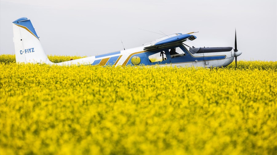 Les droits de douane imposés par la Chine sur le canola du Canada entrent en vigueur