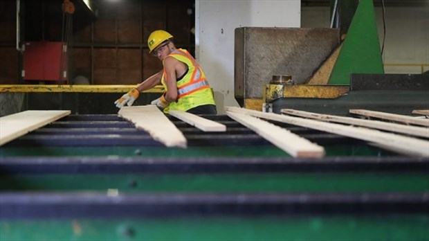 Trump impose des droits de douane de 10 % aux producteurs de bois d’œuvre