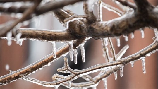 Le Québec se prépare à l'arrivée du cocktail météo «potentiellement critique»