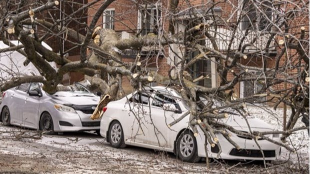 Faits divers et judiciaires