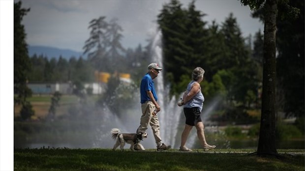 Même un faible niveau d'activité physique a des bienfaits pour la santé