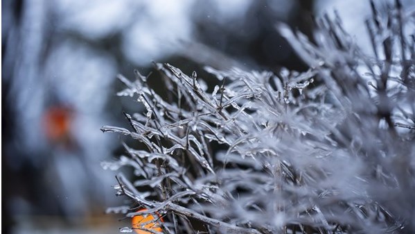 Un cocktail météo s'abat sur une grande partie du Québec