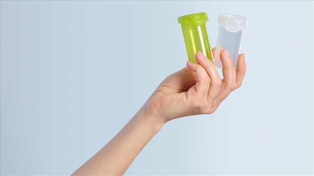 EcoloPharm : quand une grande vision prend racine à Chambly 